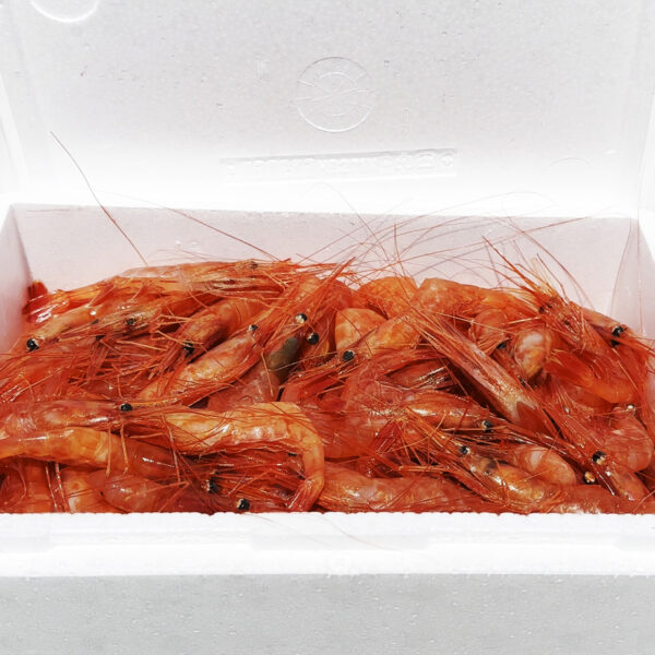 北海道増毛（ましけ）町『増毛 春の味まつり 2024』に行ってきました