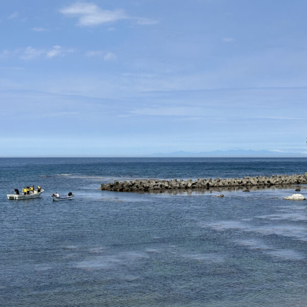 北海道積丹半島の古平町でウニ漁の取材・ロケに同行！