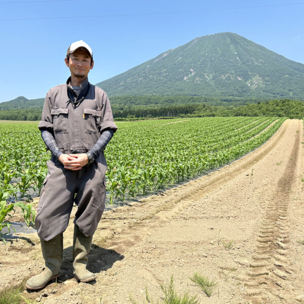 【速報】幻の逸品といわれている 北海道真狩村「横川さんのとうもろこし」