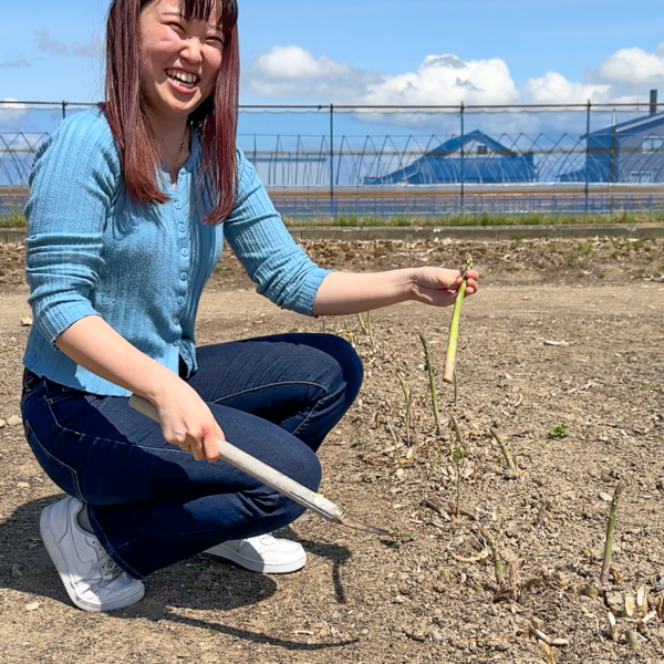 北海道・名寄市アスパラガスの収穫から出荷までを取材してきました！