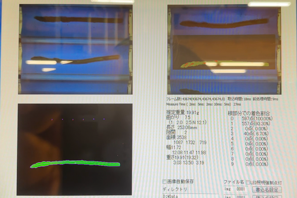 名寄アスパラ・選果機