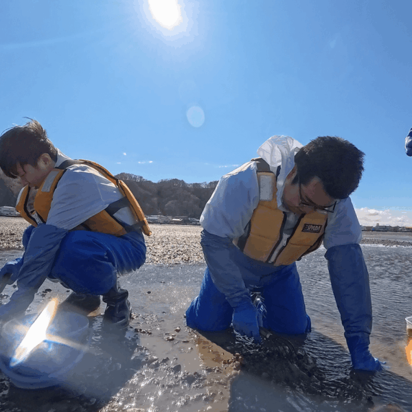 北海道・厚岸町 天然あさりの漁獲体験をさせていただきました！