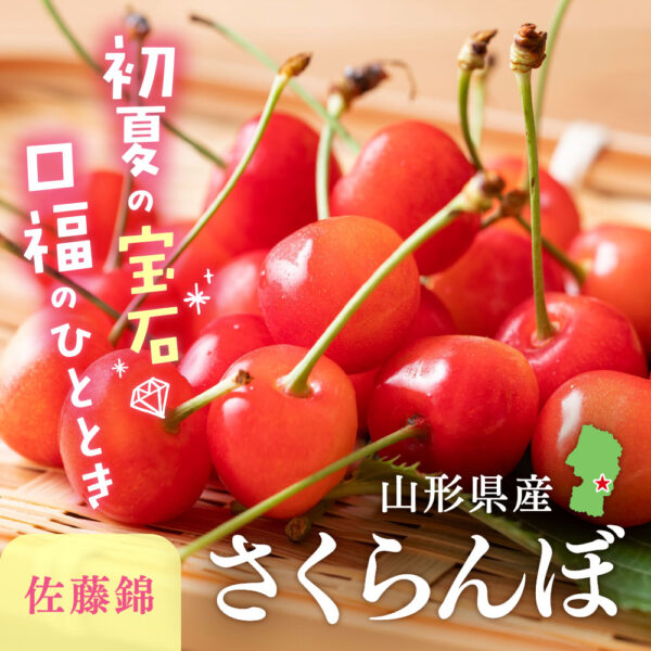 旬の産直品「さくらんぼ 佐藤錦」の販売を開始しました。