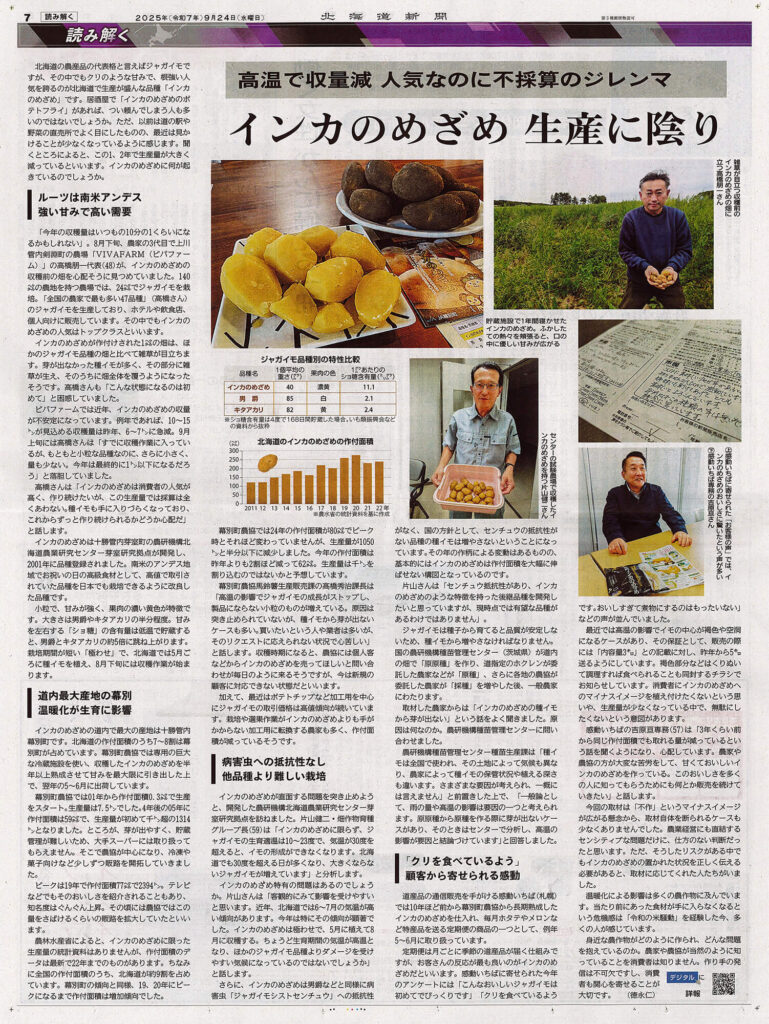 2025年9月24日 北海道新聞 朝刊 インカのめざめ記事