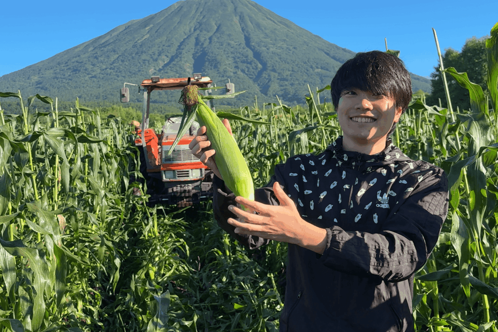 北海道・真狩村 横川さんのとうもろこし 羊蹄山