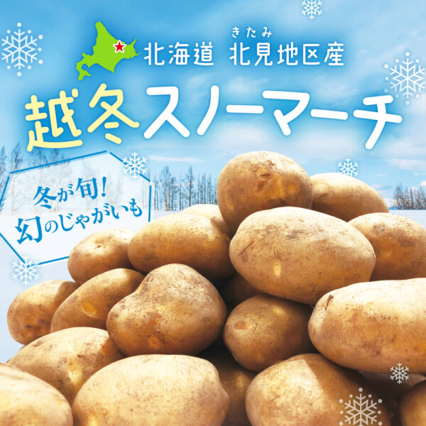 旬の産直品「北海道北見地区産 越冬スノーマーチ」の販売を開始しました。