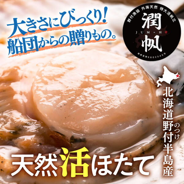 旬の産直品「北海道野付半島産 活ほたて」の販売を開始しました。