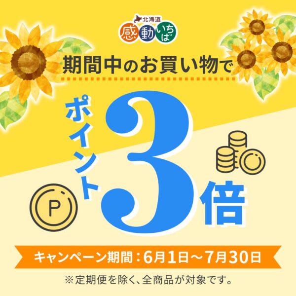 ★7/30まで★夏のポイント3倍キャンペーン 実施中！！