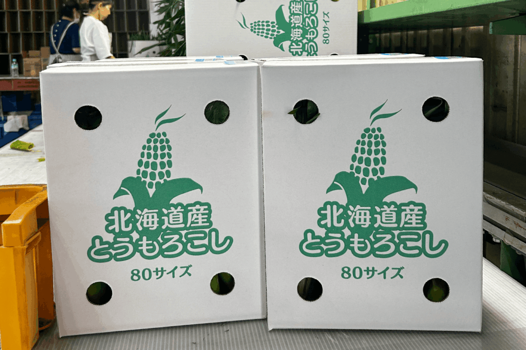 名寄のとうもろこし
