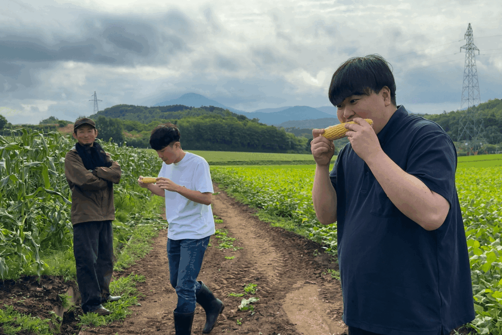 横川さんのとうもろこし「恵味（めぐみ）」
